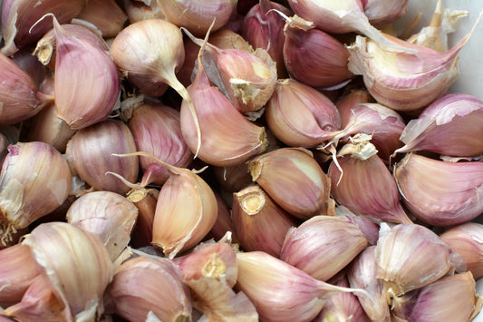 Czosnek: Fundament Smaku w Polskiej i Światowej Kuchni