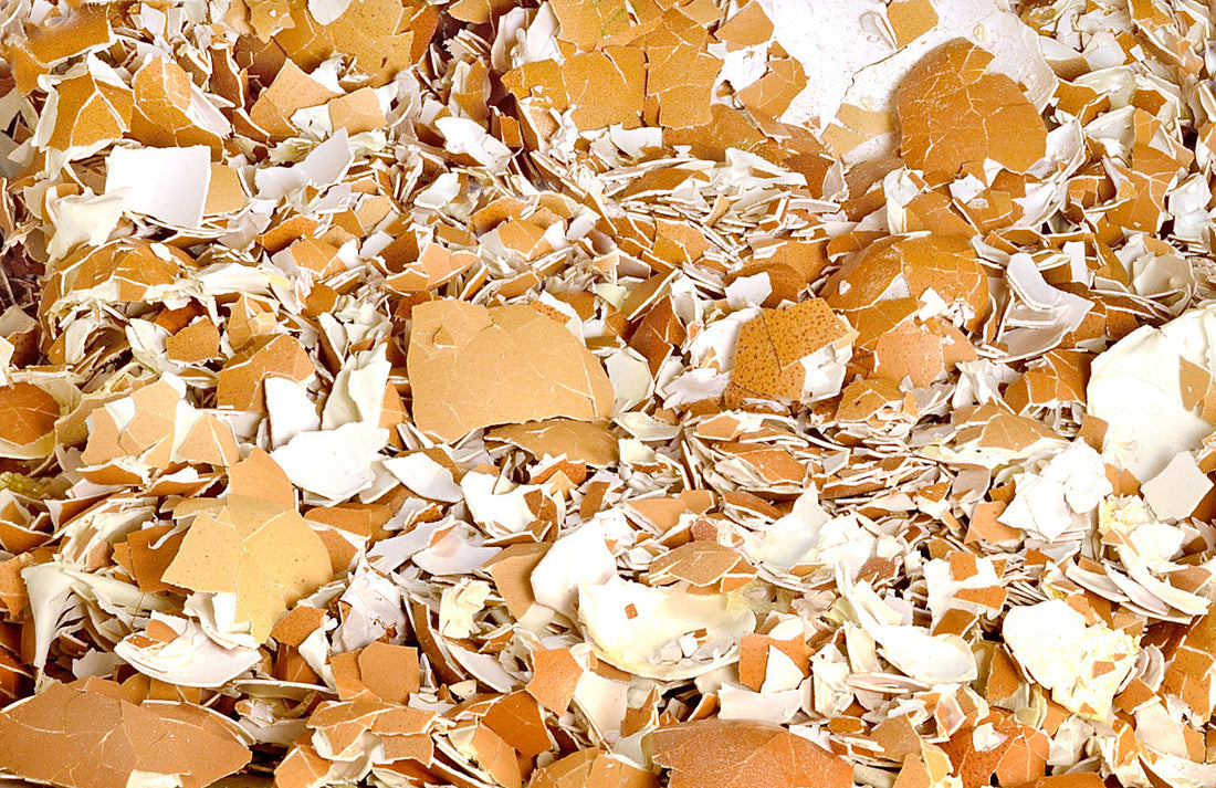 Skorupki Jaj: Praktyczny Recykling i Wszechstronne Zastosowanie w Domu