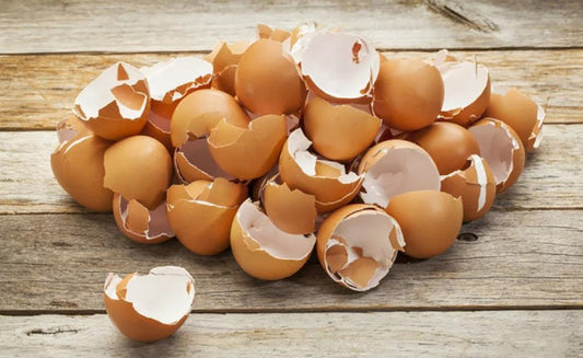 Skorupki Jajek: Ekologiczny Składnik dla Domu i Ogrodu – Zero Waste